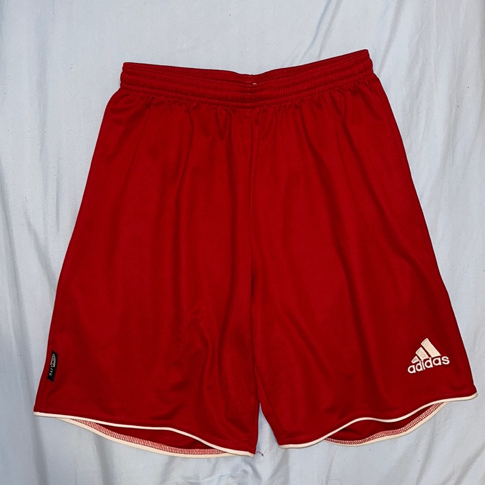 Adidas Climalite Shorts